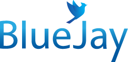 Blue Jay